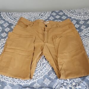 Carhartt Men's Brown Cargo Pants 40x30